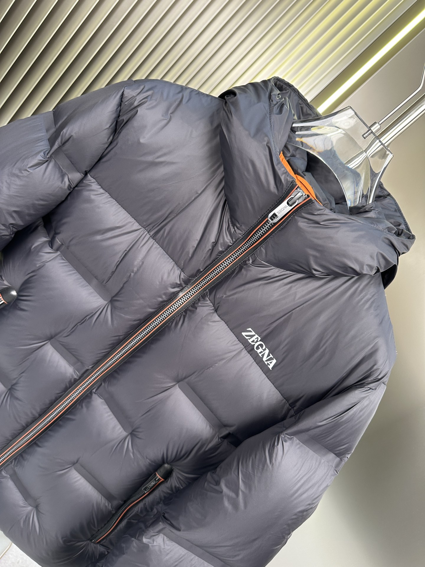 Zegna Down Jackets